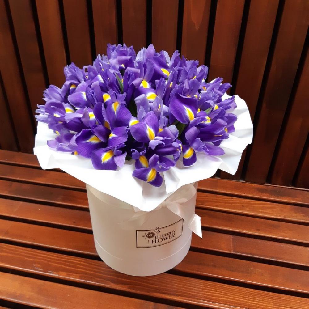 Красивый, яркий букет из 35 ирисов в белой шляпной коробке "Байкал"